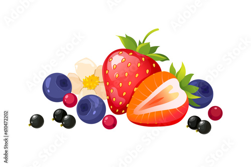 Summer berries composition. Vector illustration