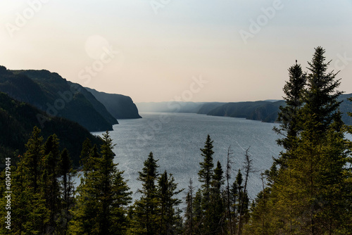 Saguenay Fjord in summer, ocean view with leaves photo