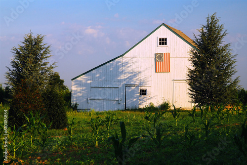 A Colonial American flag is painted on the side of a small barn, as a symbol of patriotism and patriotic feeling, in a rural farm field near the Fourth of July