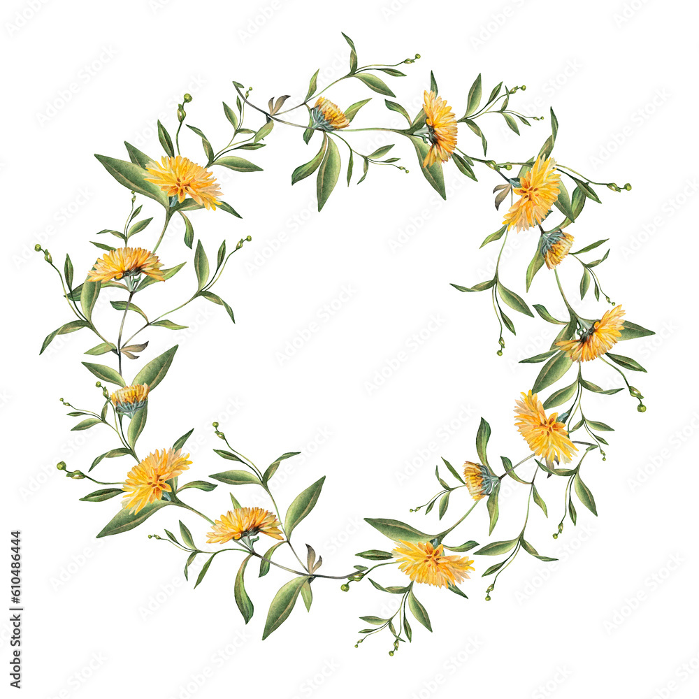 Watercolor circle frame border template for design. Wreath of yellow flower dandelion isolated on white background. Hand-drawn summer plant for health. Copy space. Clipart for wedding invitation