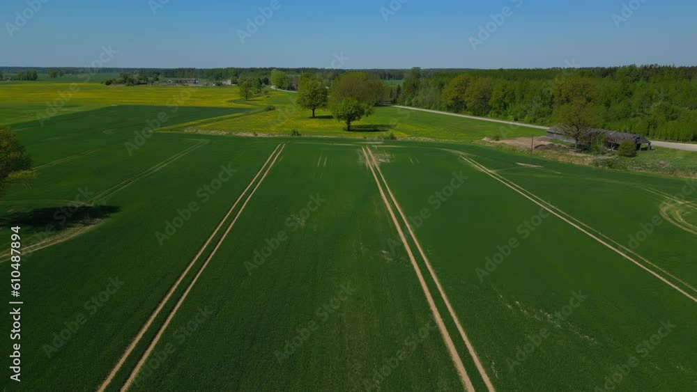 Aerial view of rural farm field with lines, drone 4k Aerial view of rural farm field with lines, drone 4k