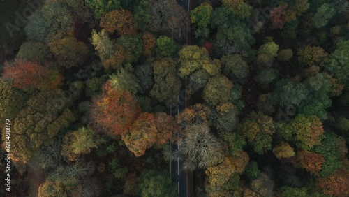 Aerial footage of autumnal woodlands in the Peak District National Park, United Kingdom photo