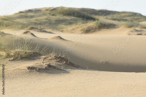 Sand dunes are covered with sparse vegetation. The problem of arid climate. photo