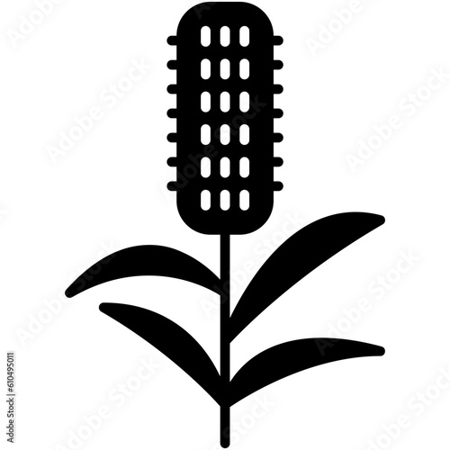 Timothy Grass Icon. Meadow Cats Tail Symbol Stock Illustration. Vector Solid Icons For UI Web Design And Presentation