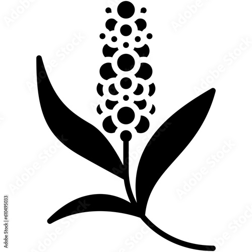 Pearl Millet Icon. Pennisetum Americanum Symbol Stock Illustration. Vector Solid Icons For UI Web Design And Presentation