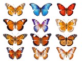 Butterfly collection isolated on white background with AI generated.
