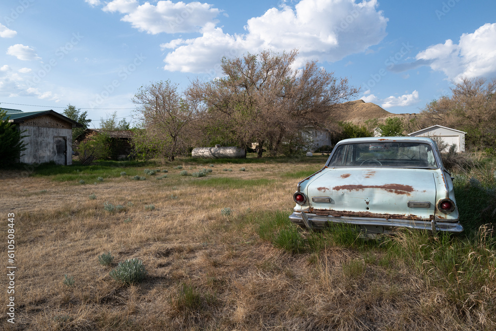 car in the field