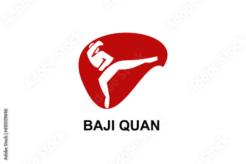 baji quan or "rake fist"  sport vector line icon. sportman, fighting stance. sport pictogram illustration.