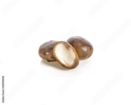 hygroscopic earthstar isolated on white background