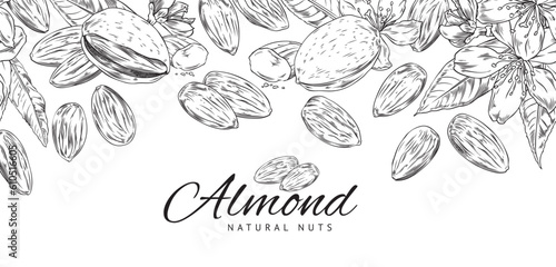 Hand drawn monochrome border with almonds sketch style