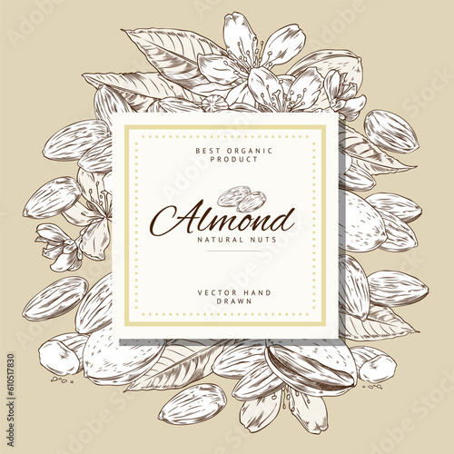 Organic almond nuts advertising banner, hand drawn sketch vector illustration.
