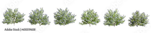 Fototapeta Naklejka Na Ścianę i Meble -  isolated shrubs in 3d rendering	