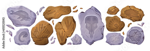 Prehistory ancient stone fossil footprint vector. Dinosaur skeleton, plant, fish and shell jurassic cartoon icon set. Paleontology museum prehistoric isolated paw and skull trace and bone illustration