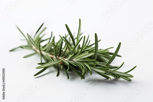 rosemary branch on white background. Generative AI