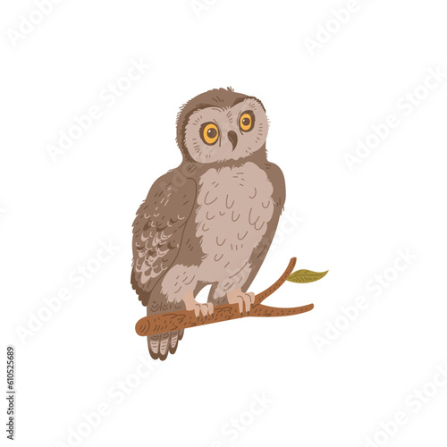 Wonder brown owl sitting on branch flat style, vector illustration