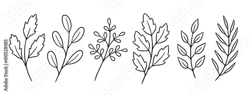 Hand-drawn black and white leafy branches © Northern Owl