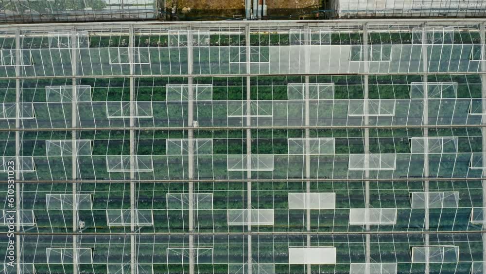 Sun Reflecting On Glass Roof Of A Greenhouse In Opolskie, Poland. aerial topdown Sun Reflecting On Glass Roof Of A Greenhouse In Opolskie, Poland. aerial topdown