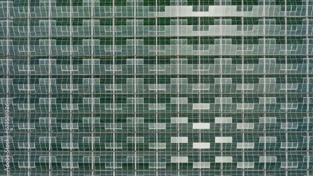 Topdown View Of A Huge Glass Roof Of The Greenhouse. Aerial Shot Topdown View Of A Huge Glass Roof Of The Greenhouse. Aerial Shot
