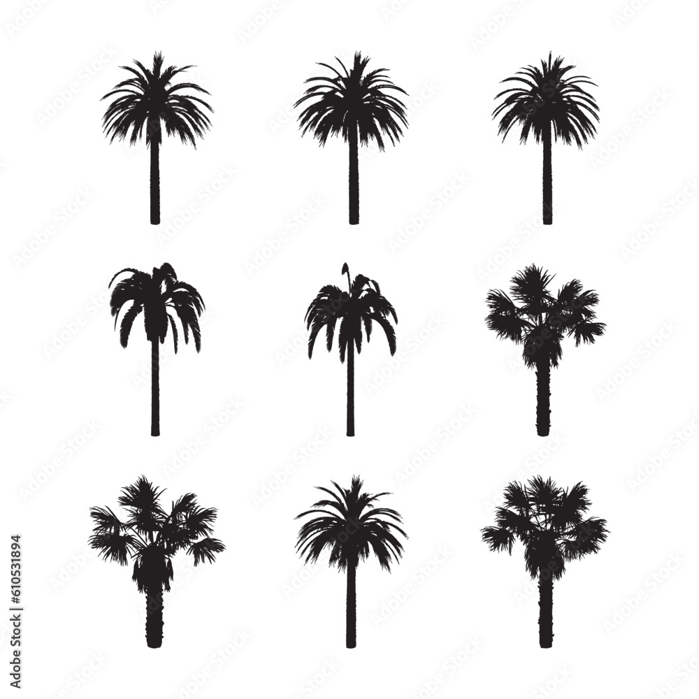 Black palm trees set isolated on white background. Palm silhouettes. Design of palm trees for posters, banners and promotional items. Vector illustration.