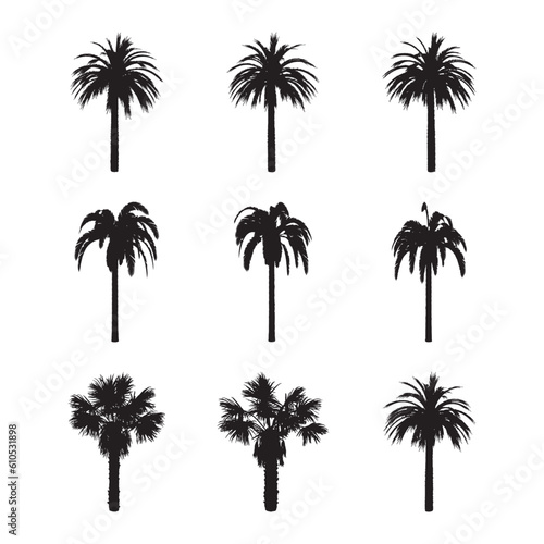 Black palm trees set isolated on white background. Palm silhouettes. Design of palm trees for posters  banners and promotional items. Vector illustration.