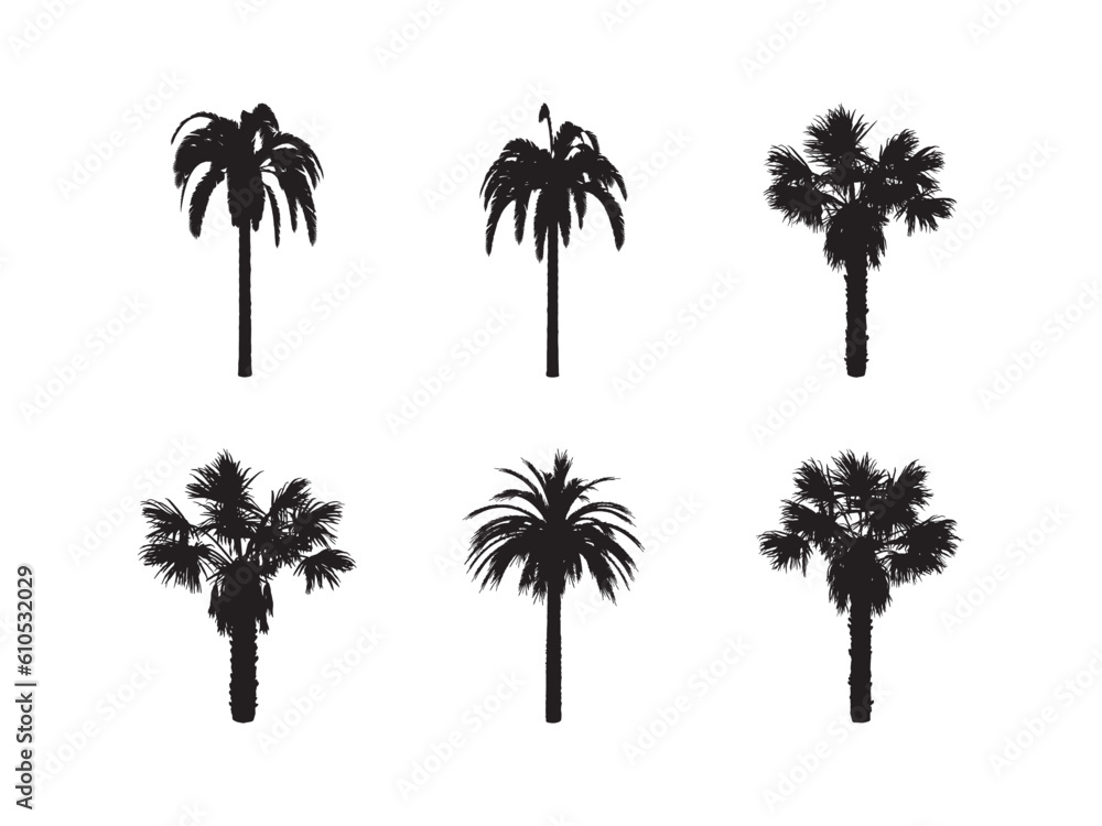 Black palm trees set isolated on white background. Palm silhouettes. Design of palm trees for posters, banners and promotional items. Vector illustration.