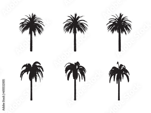 Black palm trees set isolated on white background. Palm silhouettes. Design of palm trees for posters  banners and promotional items. Vector illustration.