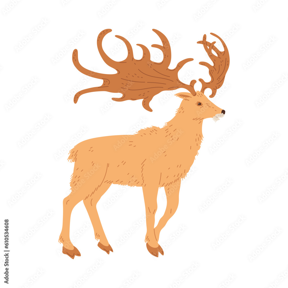 Vector illustration of Megaloceros, concept of prehistoric period animals, isolated on white background Vector illustration of Megaloceros, concept of prehistoric period animals, isolated on white background