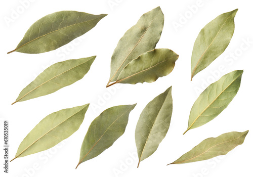 Collage with dry bay leaves on white background