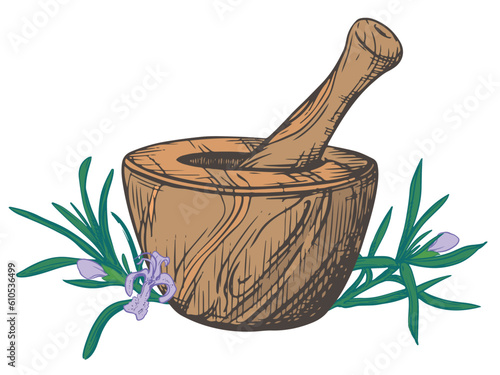 Rosemary and a wooden mortar for crushing herbs. Vector illustration of aromatic herbs, spices. Hand sketch in engraving technique. Separate design elements in a rustic style.