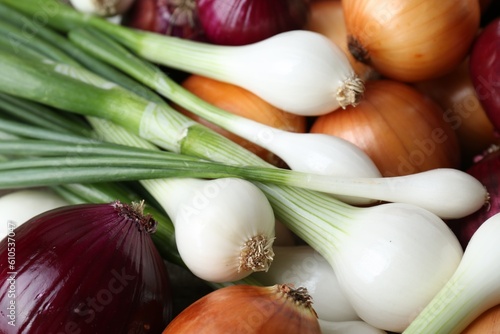 Different kinds of onions as background, closeup