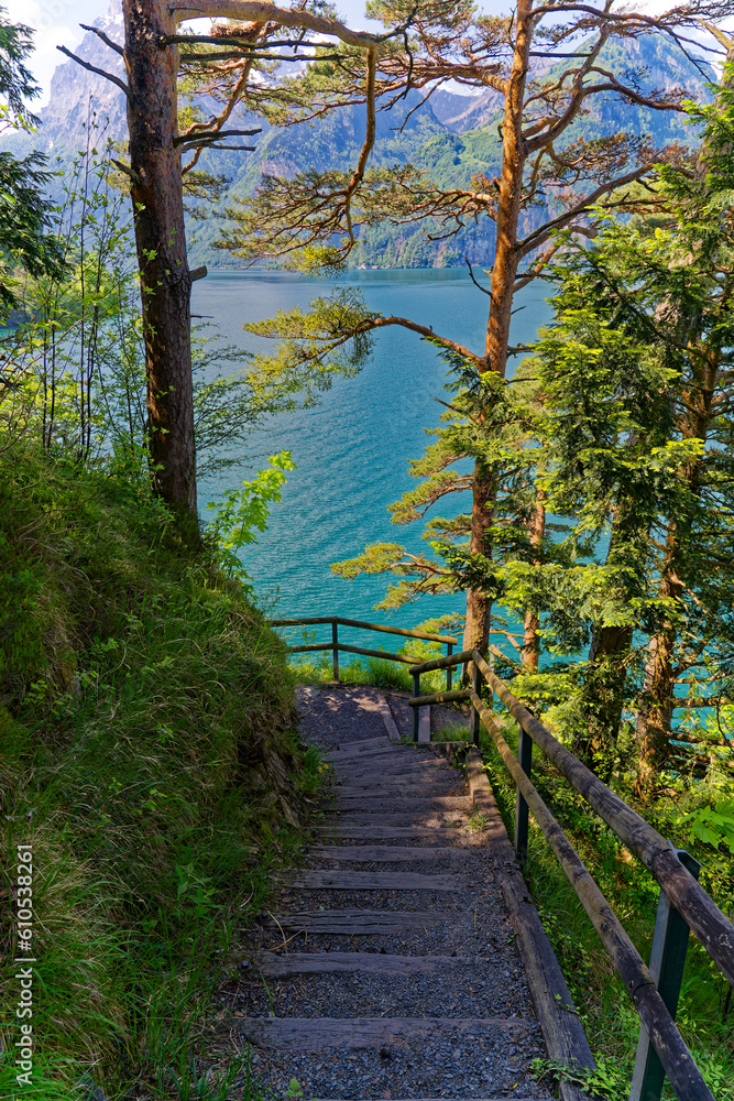 Fototapeta premium Scenic view of mountain panorama with Lake Lucerne in the foreground seen from famous hiking trail Swiss path on a sunny spring day. Photo taken May 22nd, 2023, Sisikon, Canton Uri, Switzerland.