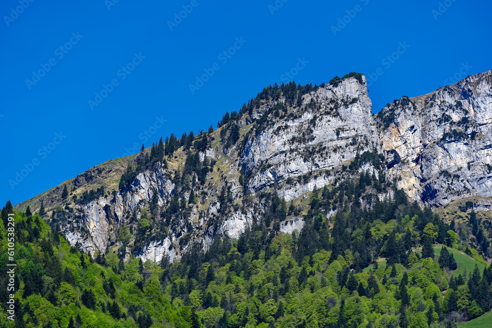 Beautiful mountain panorama with woodland and peak in the Swiss Alps at lakeshore of Lake Lucerne on a sunny spring morning. Photo taken May 22nd, 2023, Sisikon, Switzerland.