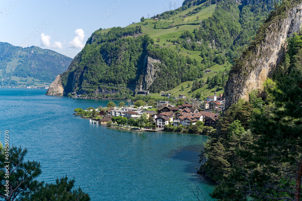 Scenic aerial view of Lake Lucerne with Swiss village Sisikon mountain panorama seen from lakeshore on a sunny spring day. Photo taken May 22nd, 2023, Lake Uri, Switzerland.