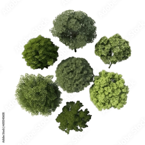 Set of Trees Rendered from the Top View, Generative Ai