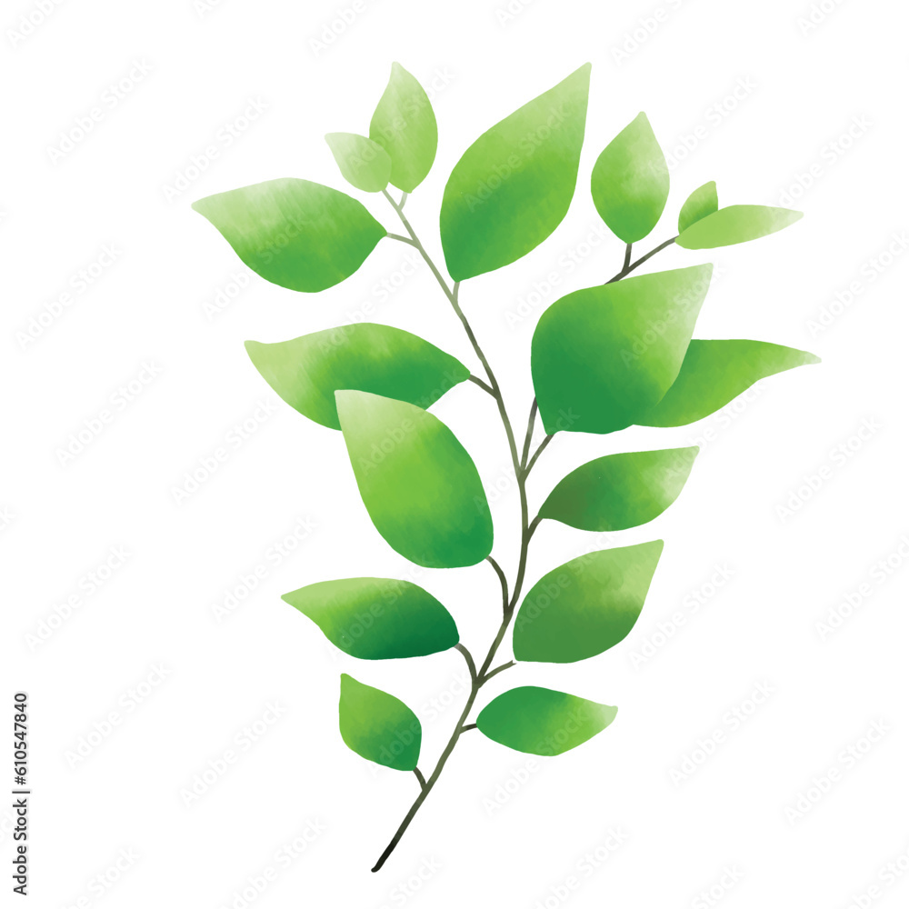 greenery style watercolor on whitr background greenery style watercolor on whitr background