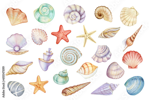Watercolor watercolor shells and starfish hand painted set. Underwater floral illustration isolated on white background.