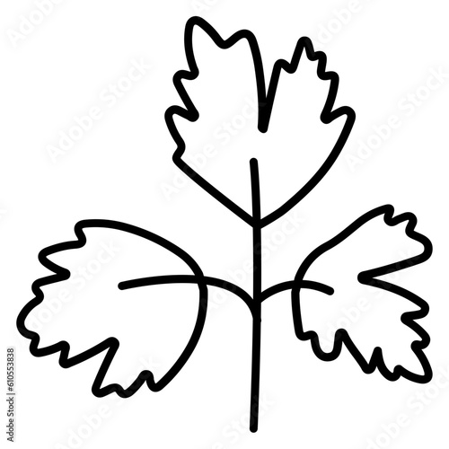 Parsley Icon