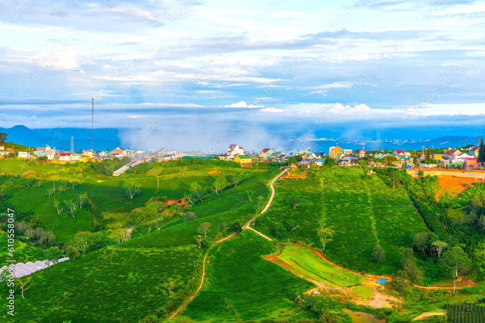 Scenery on hillside of tea planted beautiful valley in misty highlands below and giant wind turbines, peaceful hillside residential area