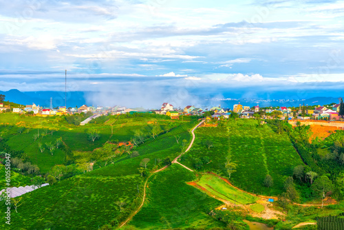 Scenery on hillside of tea planted beautiful valley in misty highlands below and giant wind turbines, peaceful hillside residential area