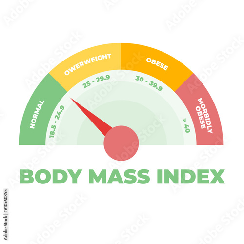 BMI or Body Mass Index meter. Vector illustration.