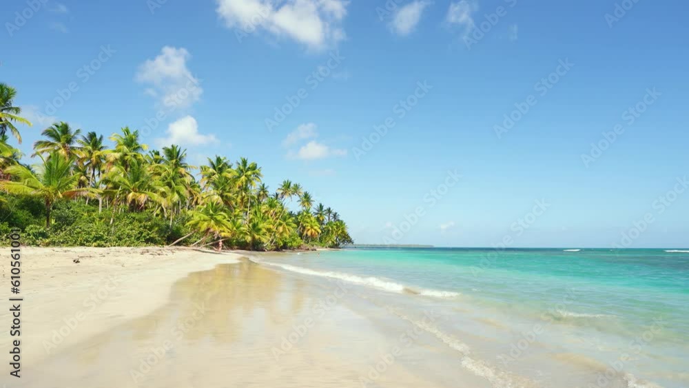 Sea sandy Maldives beach with palm trees on a tropical island on a sunny day with blue sky. Idyllic tropical paradise landscape with vibrant colors. Turquoise transparent waves on white sand. Sea sandy Maldives beach with palm trees on a tropical island on a sunny day with blue sky. Idyllic tropical paradise landscape with vibrant colors. Turquoise transparent waves on white sand.