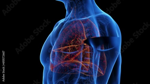 Animation of an infected lung