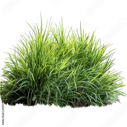 Realistic grass isolated on Transparent Background, Png Cutout, Generative Ai