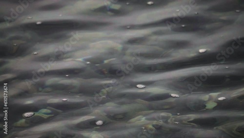 Transparent Water Of A Calm River With Rocky Stones Bottom. Close up photo