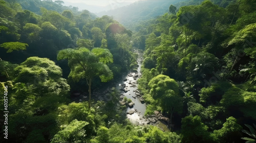 Aerial Perspectives bird's eye view of asian forest jungle nature landscape. Made by (AI) artificial intelligence 