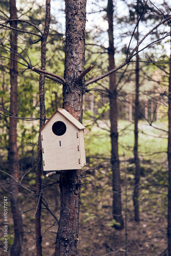 birdhouse on a tree