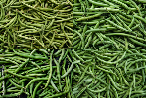 Fresh green bean pods texture, Close up top view