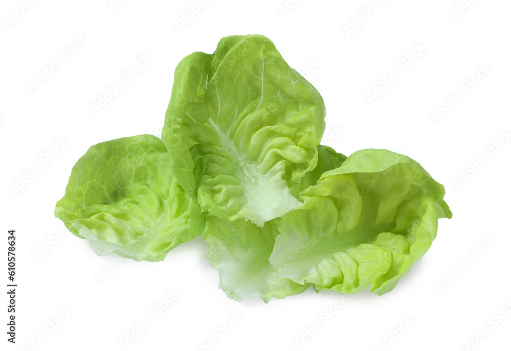 Fresh green butter lettuce leaves isolated on white Fresh green butter lettuce leaves isolated on white