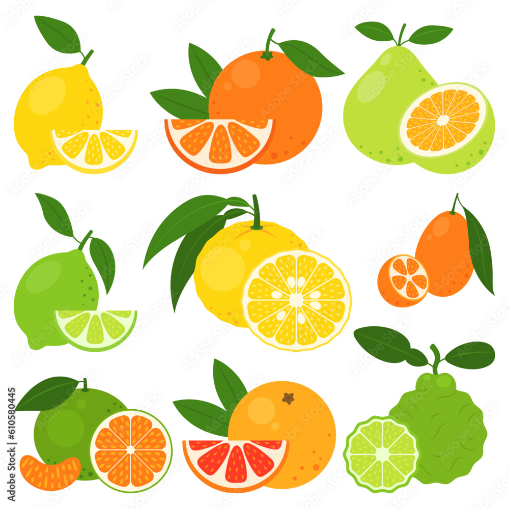 Citrus fruits set isolated on white background. Lemon, orange, pomelo