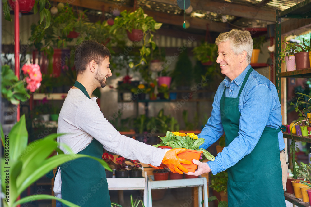 Älterer Gärtner und Florist arbeiten zusammen im Blumengeschäft Stock